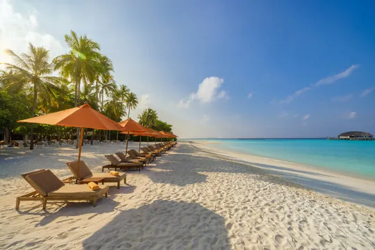 Financial Adviser for Expats in Goa: A Specialist Guide to UK-India Planning